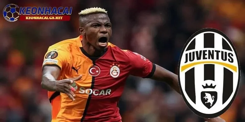 Tiền đạo Osimhen được cho là đồng thuận về việc gia nhập Juventus trong mùa giải sau Tiền đạo Osimhen được cho là đồng thuận về việc gia nhập Juventus trong mùa giải sau