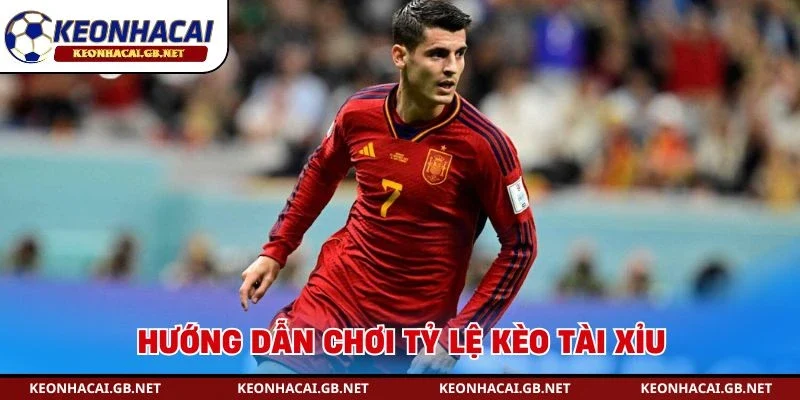 Hướng dẫn chơi tỷ lệ kèo bóng đá Tây Ban Nha tài xỉu